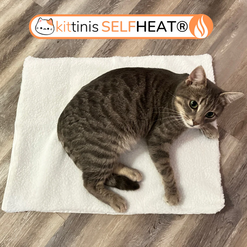 Warum die KITTINIS™️ SELFHEAT® - Selbstheizende Wärmematte für Katzen