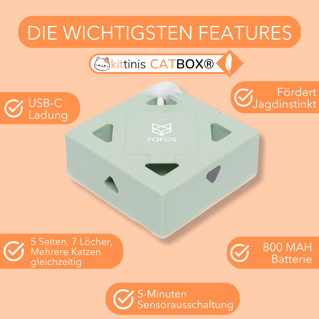 CatBox® - interaktives Katzenspielzeug