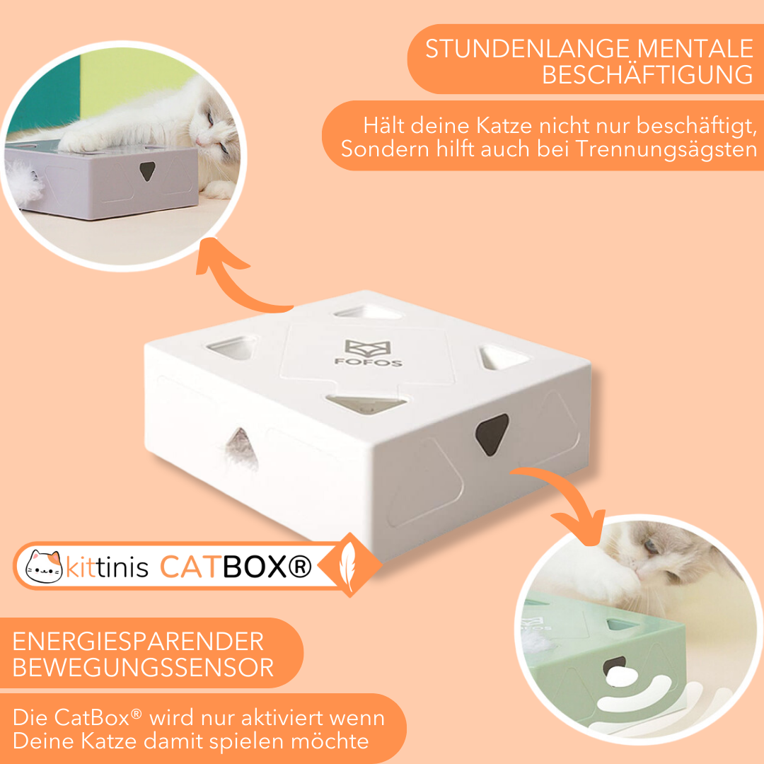 CatBox® - interaktives Katzenspielzeug