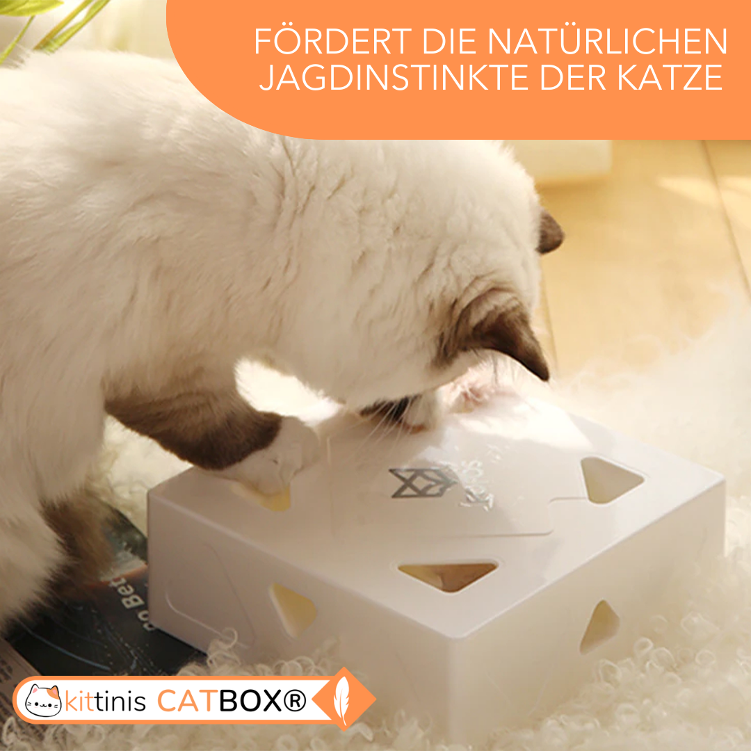CatBox® - interaktives Katzenspielzeug