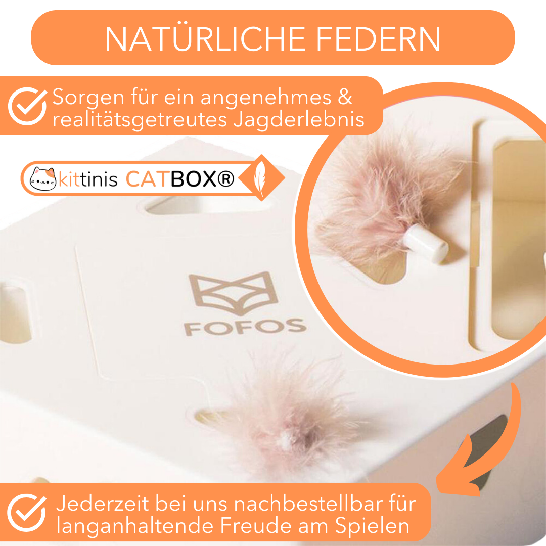 CatBox® - interaktives Katzenspielzeug