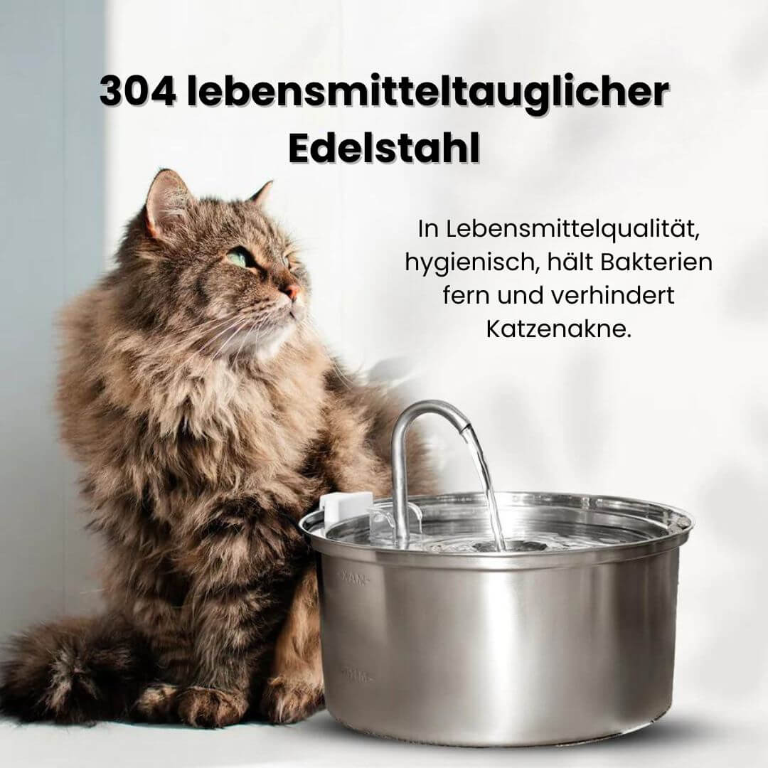 KITTINIS™️ - SilvaFlow® V.3. Premium Trinkbrunnen aus Edelstahl