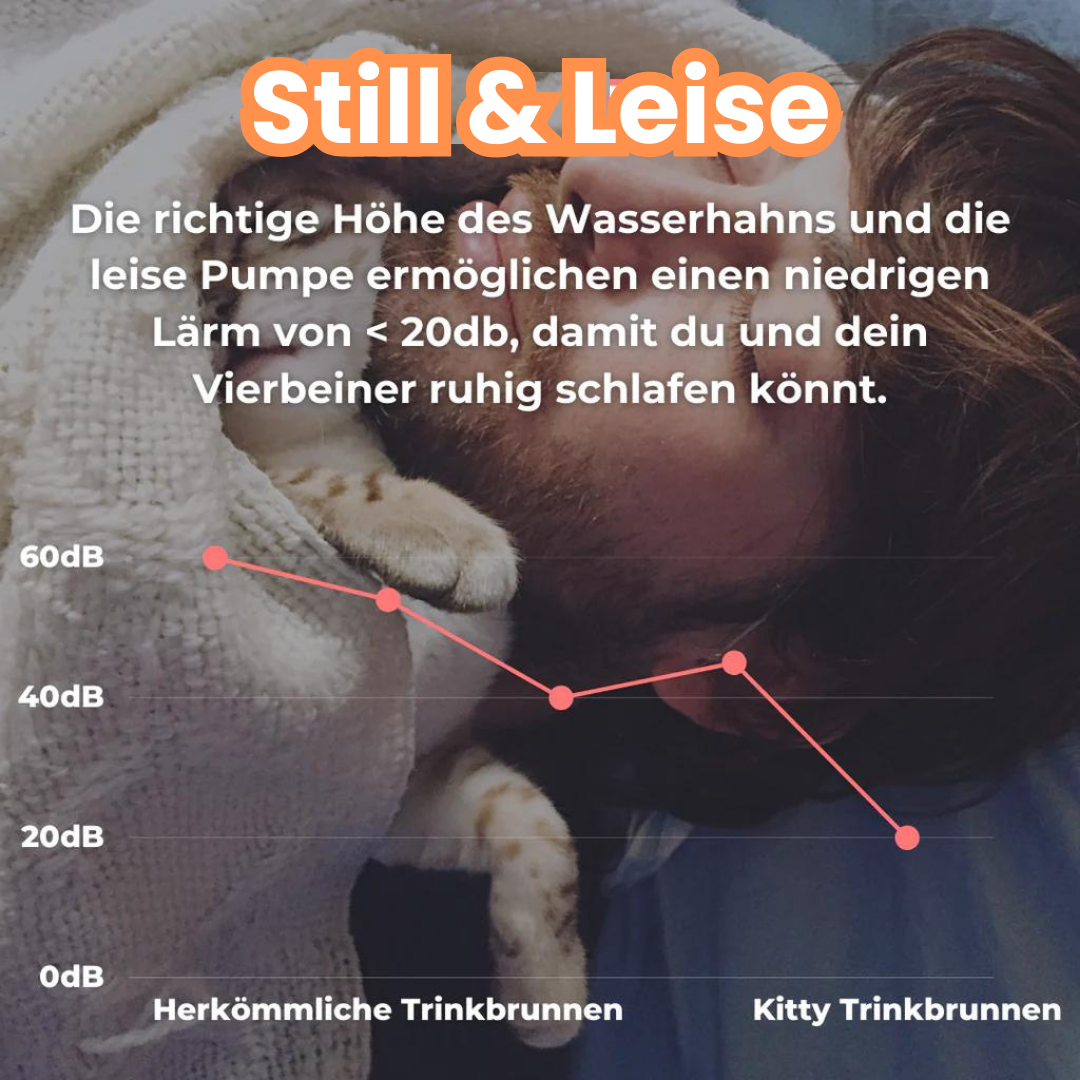 KITTINIS™️ - SilvaFlow® V.3. Premium Trinkbrunnen aus Edelstahl