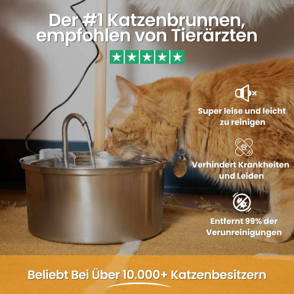 KITTINIS™️ - SilvaFlow® V.3. Premium Trinkbrunnen aus Edelstahl