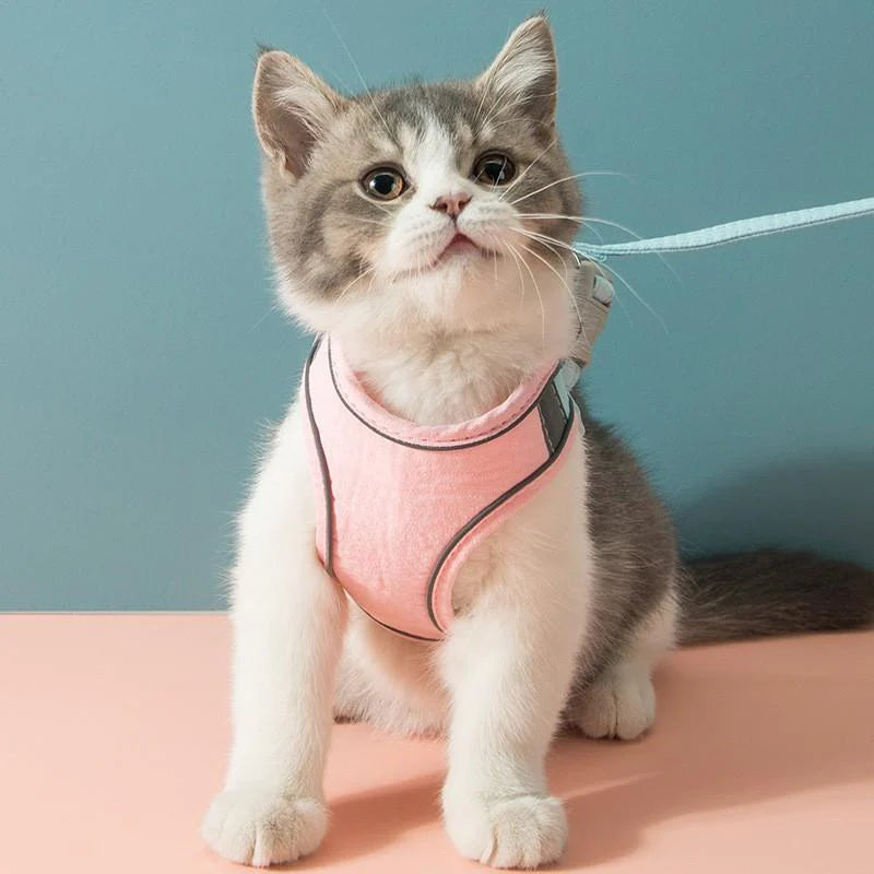 KITTINIS™️ CatGuard® - atmungsaktives Katzengeschirr + Leine "PRO"