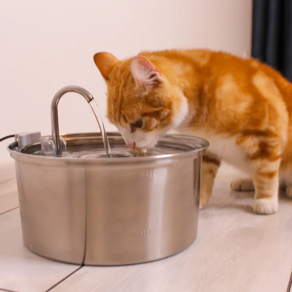 KITTINIS™️ - SilvaFlow® V.3. Premium Trinkbrunnen aus Edelstahl