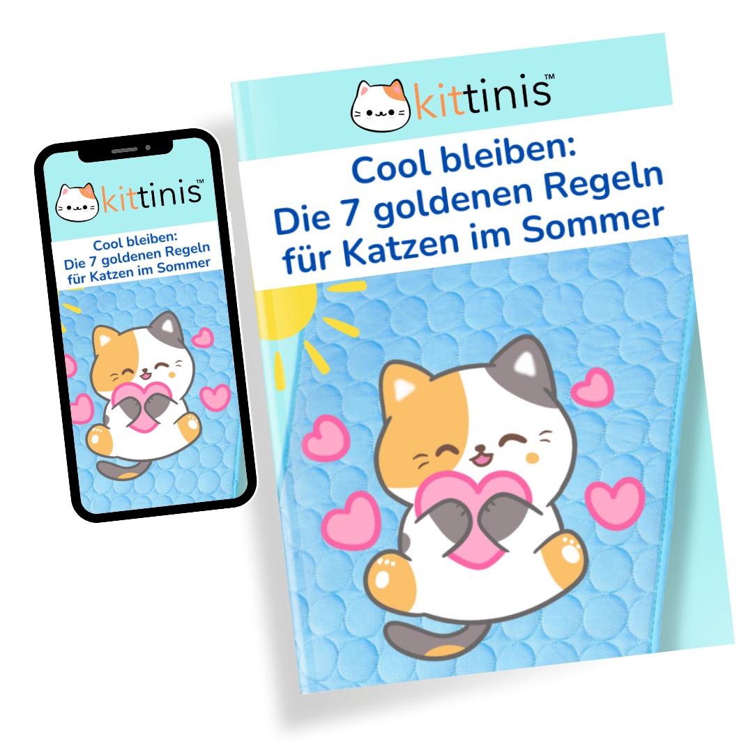 eBook - Cool bleiben: Die 7 goldenen Regeln für Katzen im Sommer