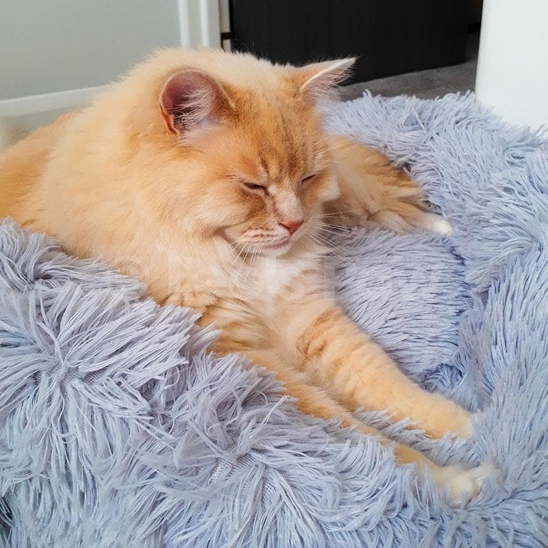 Kuscheliges Katzenbett 'Luftikuss'® - das Original