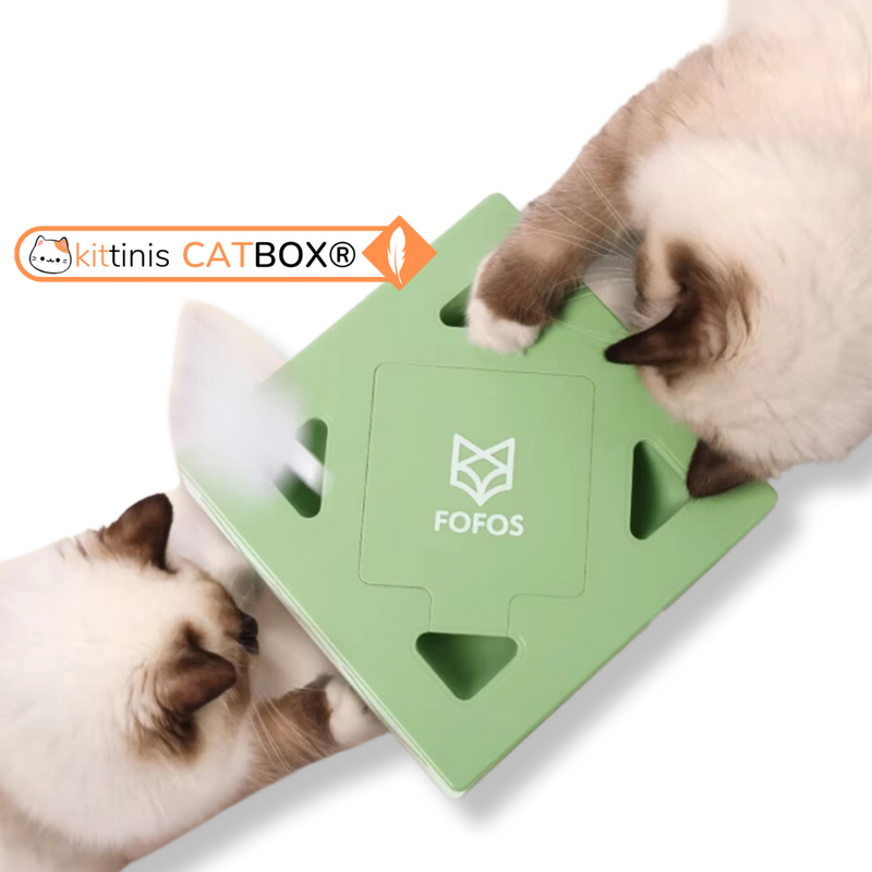 Warum die KITTINIS™️ CatBox®?