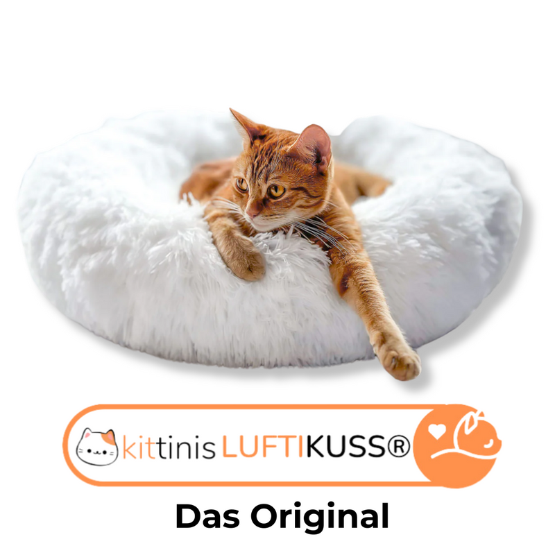 Warum das Kuschelige Katzenbett 'Luftikuss'® - das Original ?