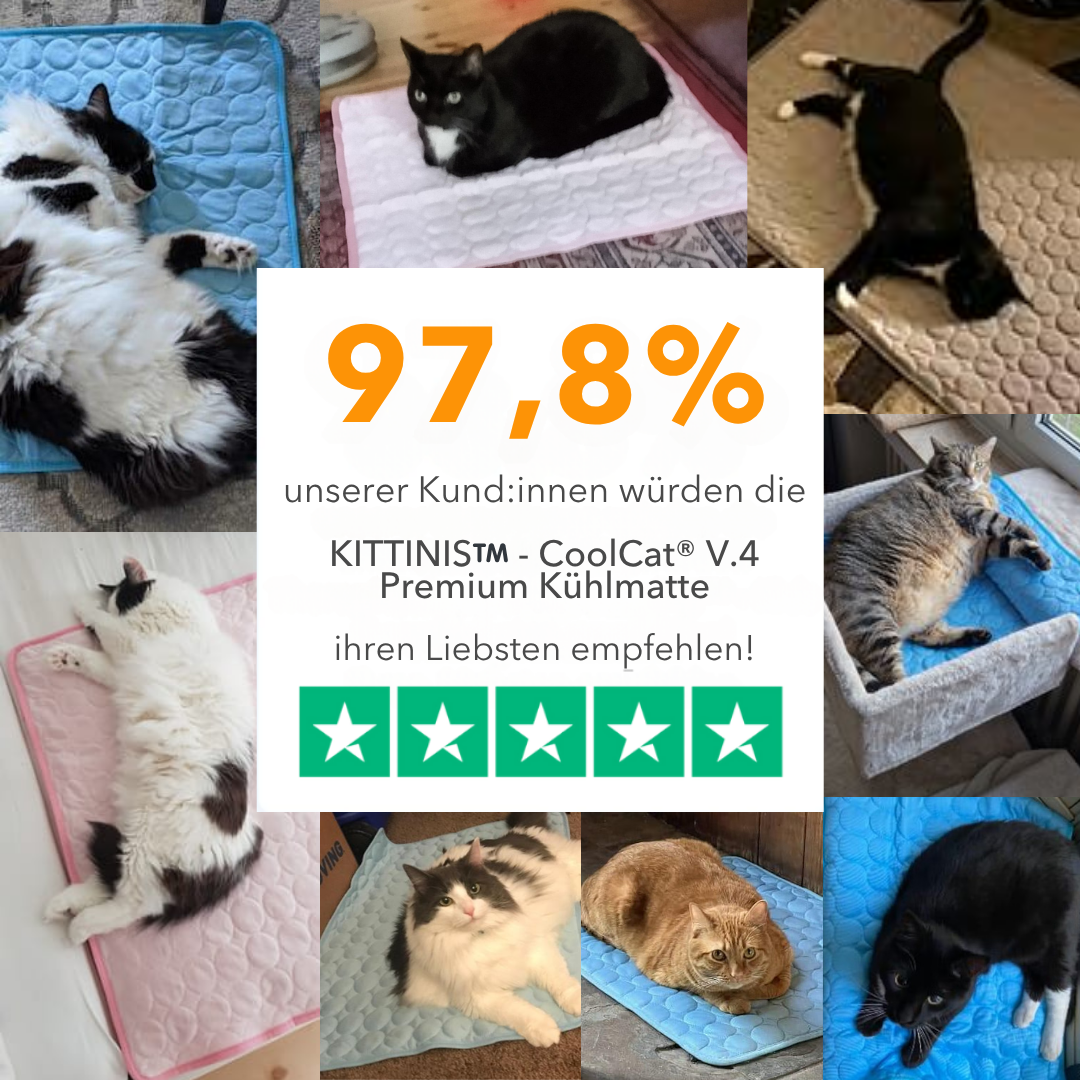 KITTINIS™️ - CoolCat® V.4 - Premium Kühlmatte mit Eisseide