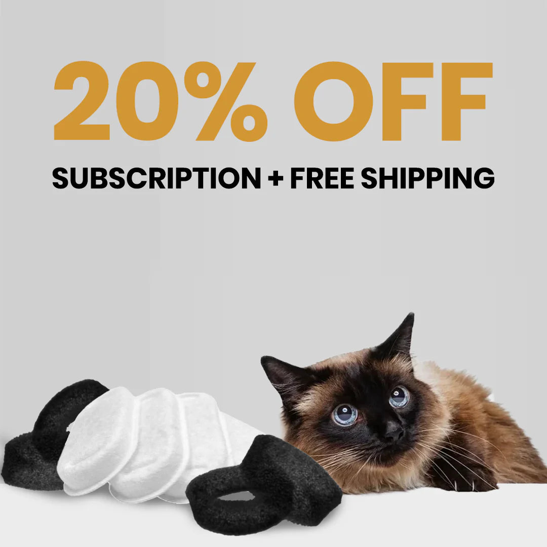 Ersatzfilter für KITTINIS™️ - SilvaFlow® V.3 Premium-Trinkbrunnen aus Edelstahl