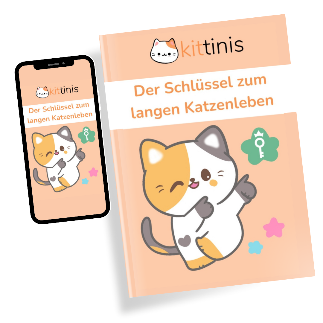 eBook - Der Schlüssel zum langen Katzenleben