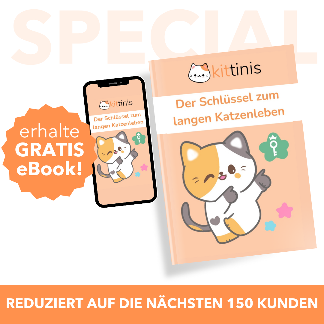 KITTINIS™️ HydroFlow® V.3. - Premium Trinkbrunnen mit HydroFlow®-Filtertechnologie (BPA frei)