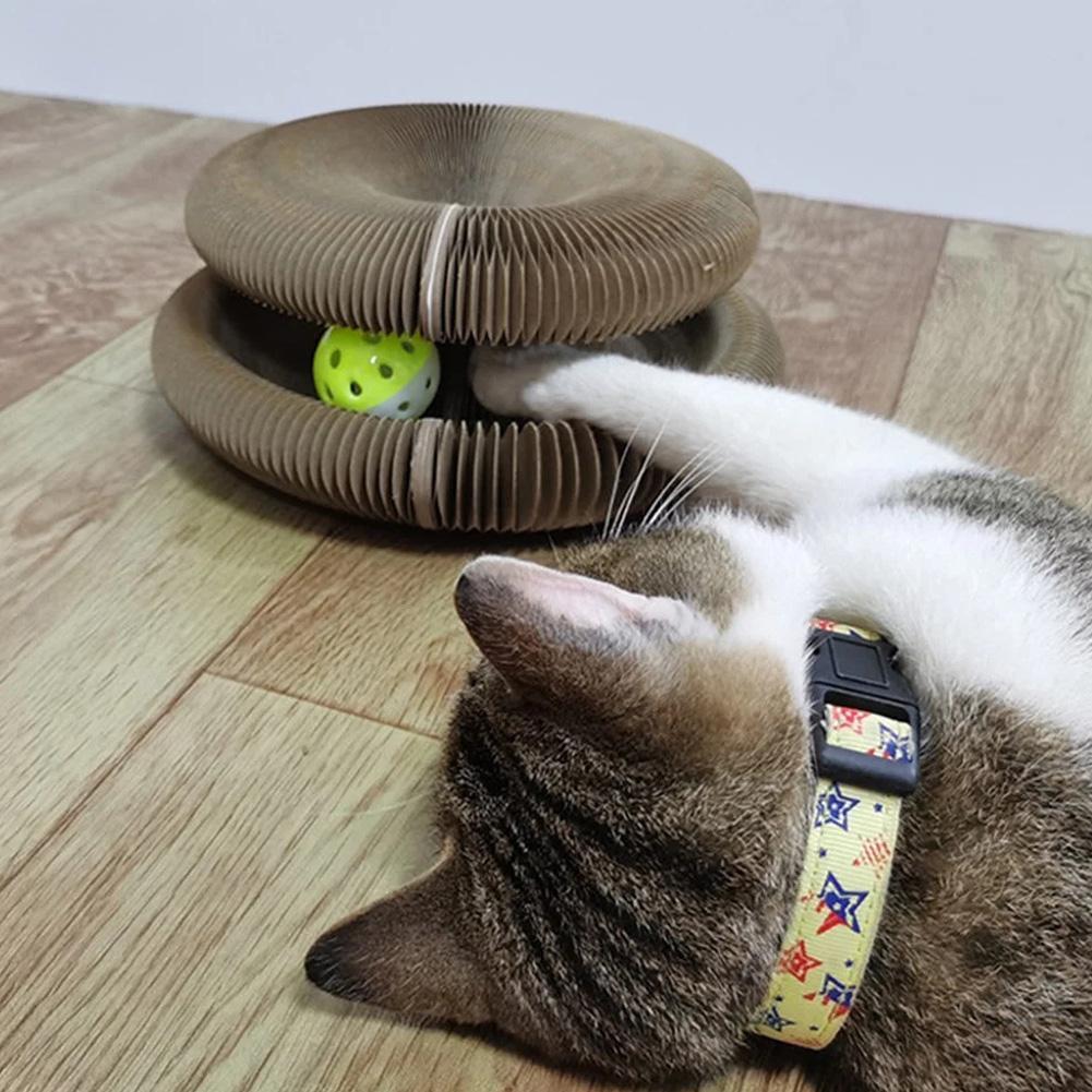 KITTINIS™️ - Schnurrwirbel®