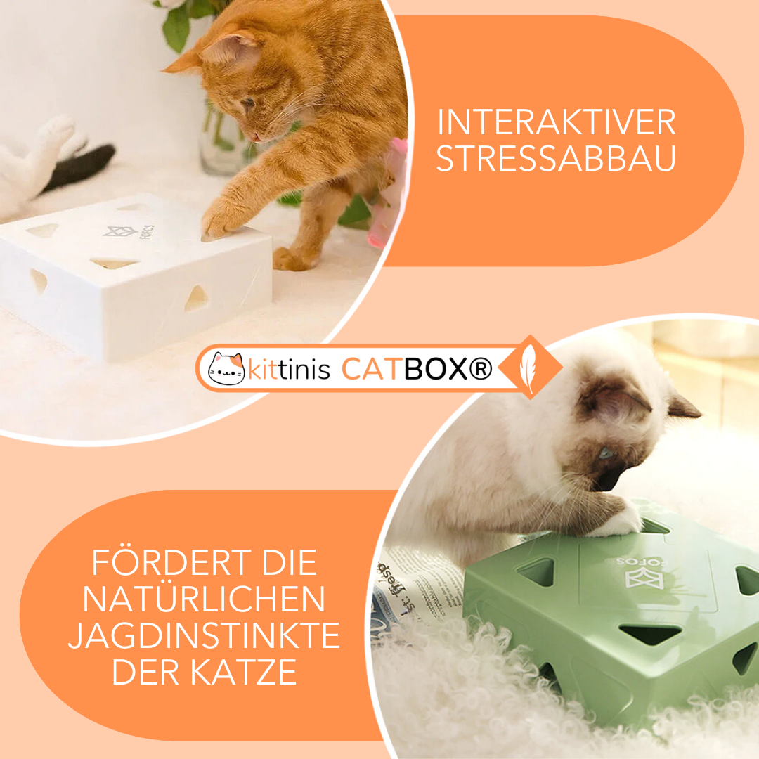 CatBox® - interaktives Katzenspielzeug