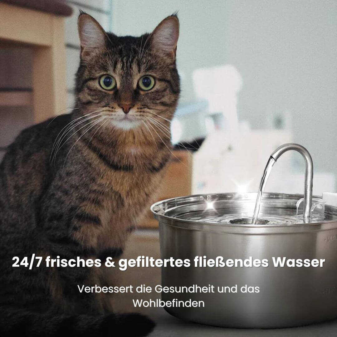 KITTINIS™️ - SilvaFlow® V.3. Premium Trinkbrunnen aus Edelstahl