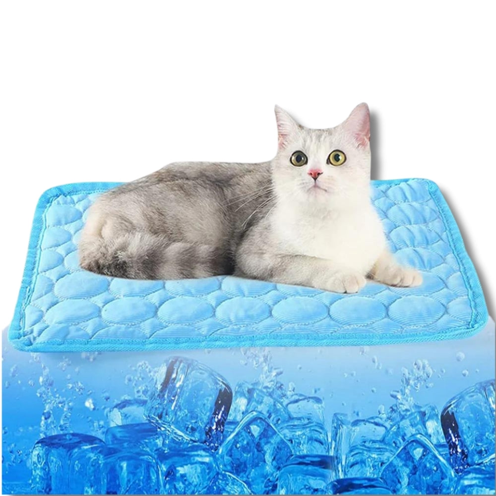 KITTINIS™️ - CoolCat® V.4 - Premium Kühlmatte mit Eisseide