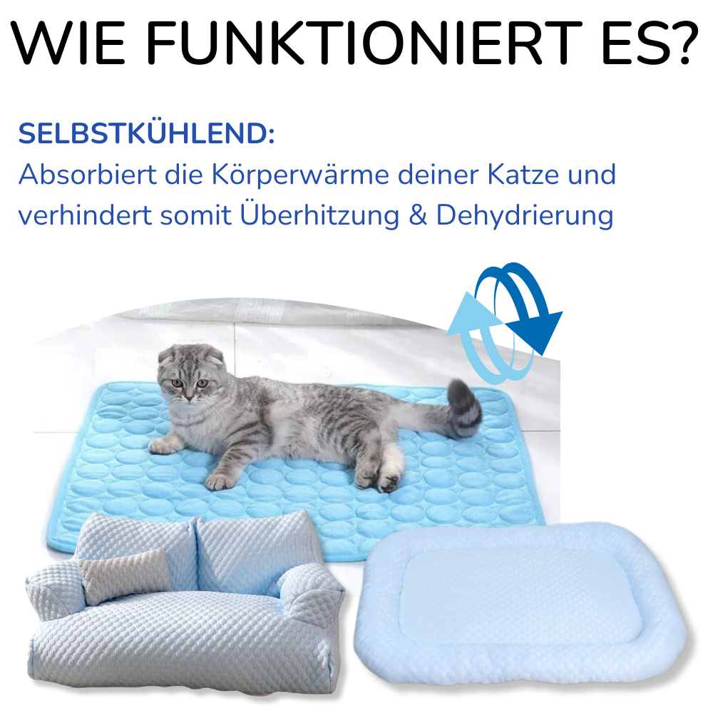 KITTINIS™️ - CoolCat® Sommer-Schutzpaket