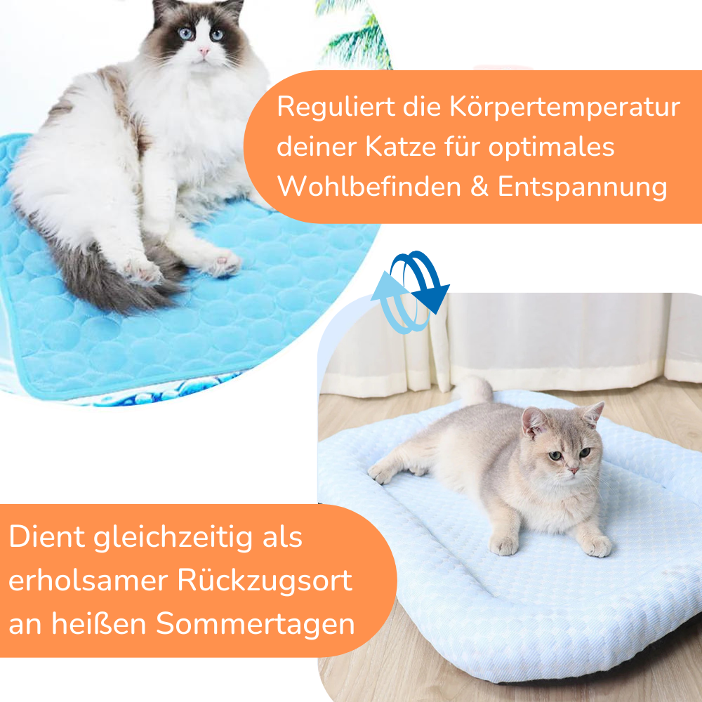 KITTINIS™️ - CoolCat® Sommer-Schutzpaket