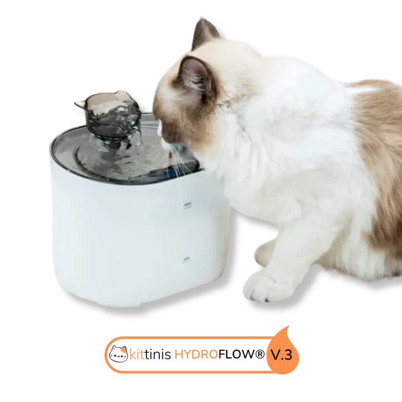 Warum der KITTINIS™️ HydroFlow® V.3. - Premium Trinkbrunnen mit HydroFlow®-Filtertechnologie?