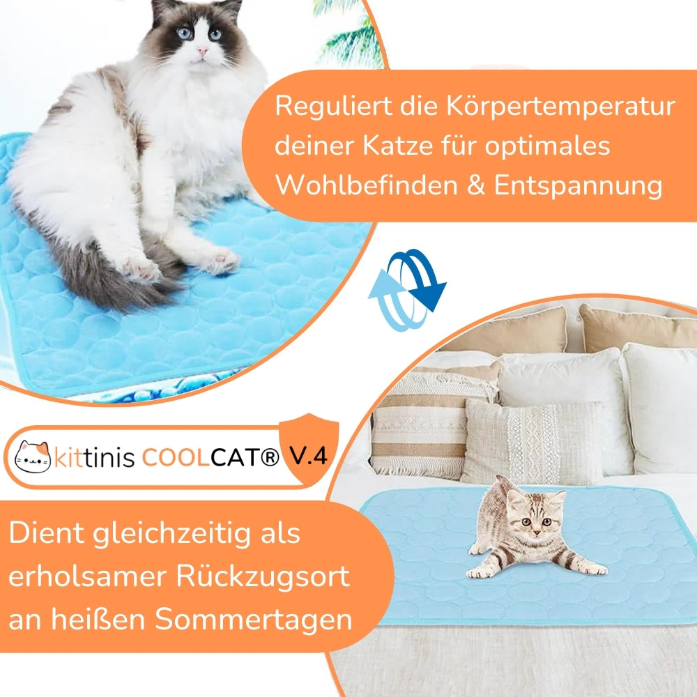 KITTINIS™️ - CoolCat® V.4 - Premium Kühlmatte mit Eisseide