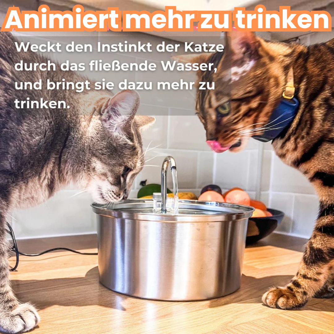 KITTINIS™️ - SilvaFlow® V.3. Premium Trinkbrunnen aus Edelstahl