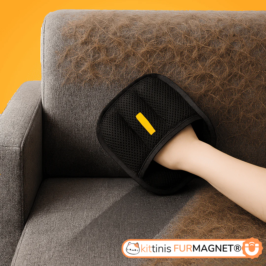 FurMagnet® - Fellpflege-Handschuh für Katzen