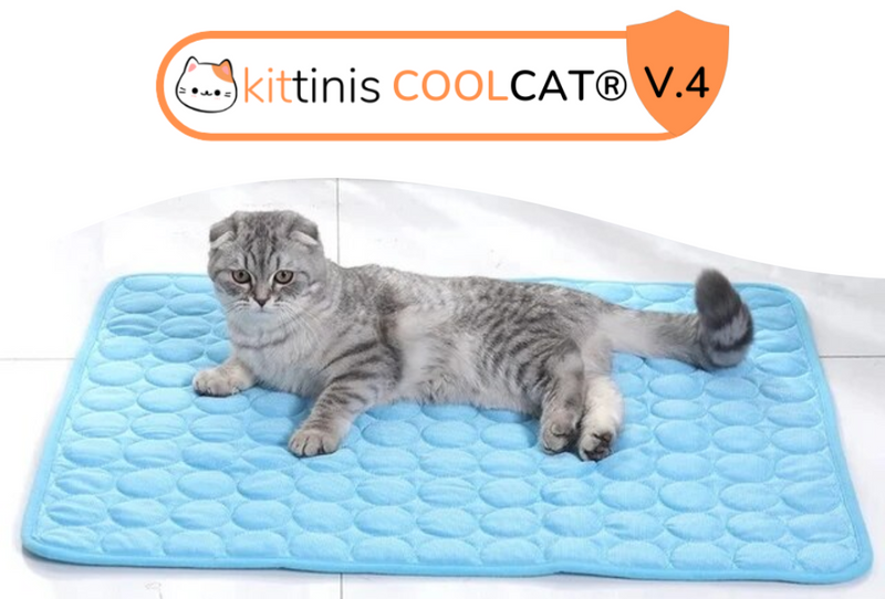 Warum die KITTINIS™️ - CoolCat® V.4 - Premium Kühlmatte mit Eisseide?