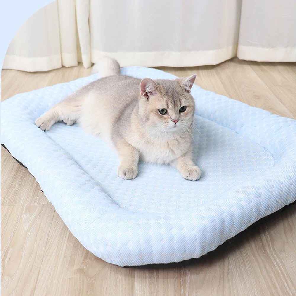 KITTINIS™️ - CoolCat® Sommer-Schutzpaket