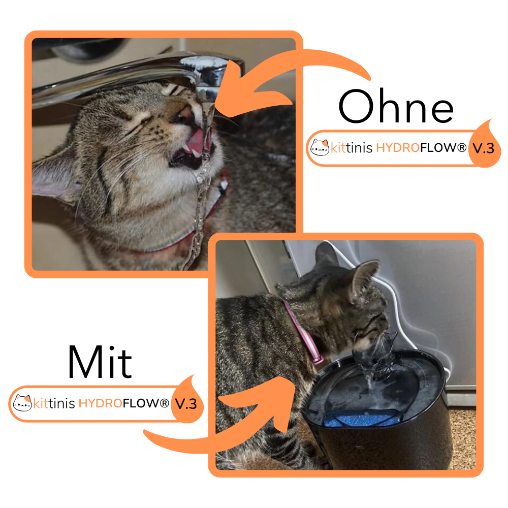 KITTINIS™️ HydroFlow® V.3. - Premium Trinkbrunnen mit HydroFlow®-Filtertechnologie (BPA frei)