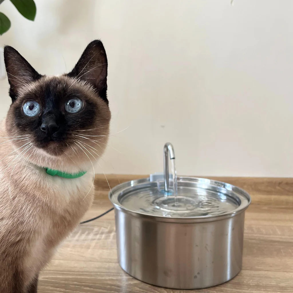 KITTINIS™️ - SilvaFlow® V.3. Premium Trinkbrunnen aus Edelstahl