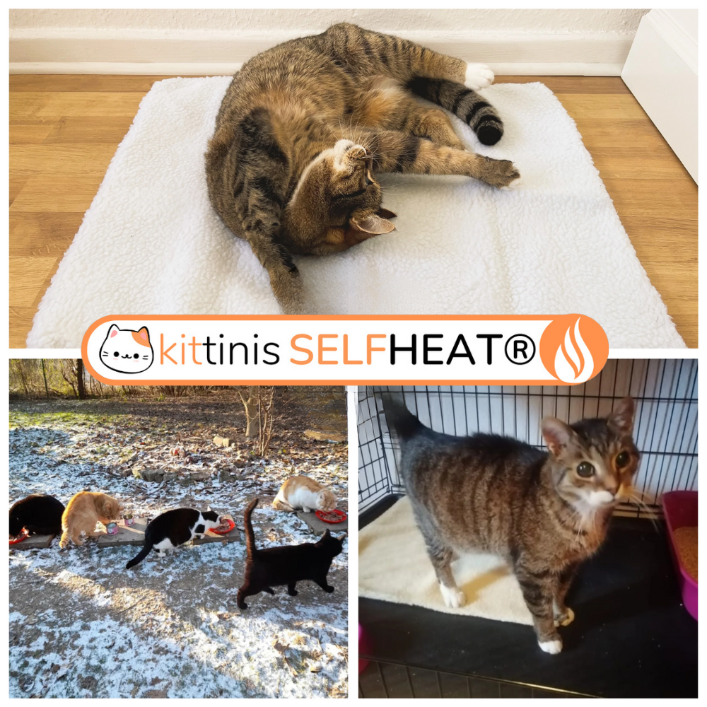 KITTINIS™️ SELFHEAT® - Selbstheizende Wärmematte für Katzen