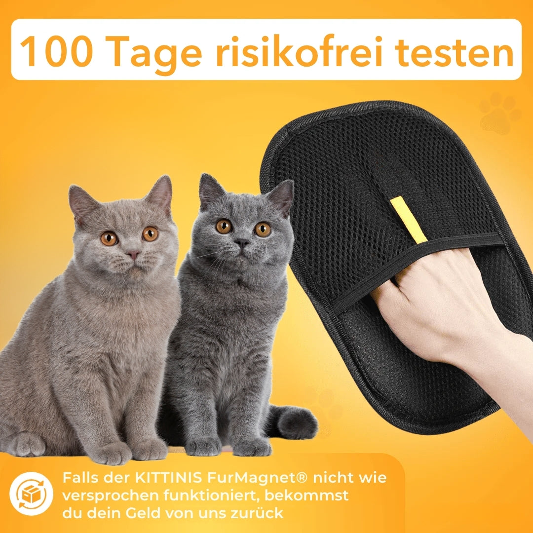FurMagnet® - Fellpflege-Handschuh für Katzen