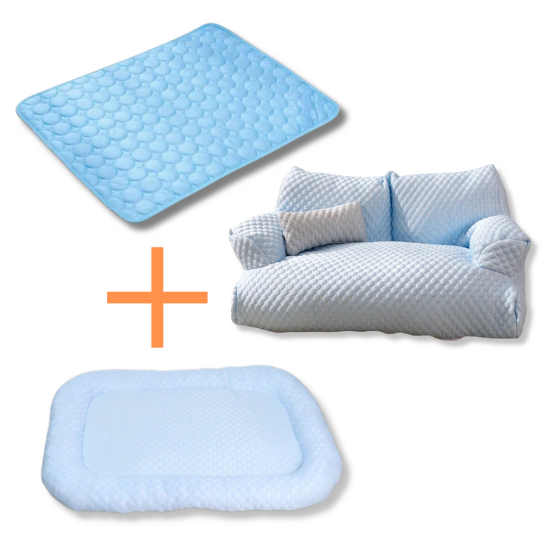 Warum das KITTINIS™️ - CoolCat® Sommer-Schutzpaket?