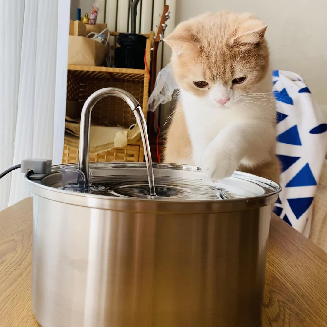 KITTINIS™️ - SilvaFlow® V.3. Premium Trinkbrunnen aus Edelstahl
