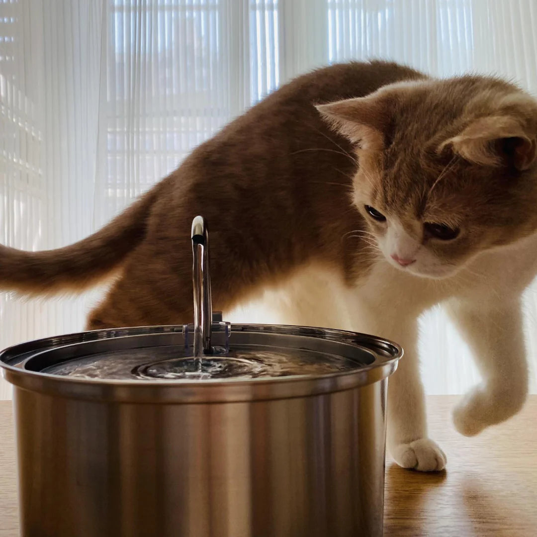 KITTINIS™️ - SilvaFlow® V.3. Premium Trinkbrunnen aus Edelstahl