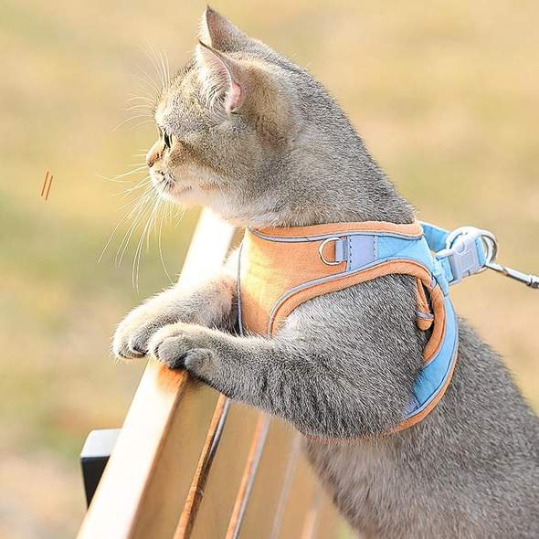 KITTINIS™️ CatGuard® - atmungsaktives Katzengeschirr + Leine "PRO"
