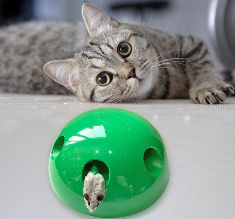 MousePop™ interaktives Katzenspielzeug in 360° Kuppelform